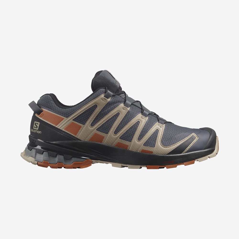 Salomon Singapore Mens Trail Running Shoes - XA PRO 3D V8 GORE-TEX Multicolor | 46271-GXQK